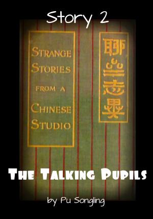 Cover of the book Story 2: The Talking Pupils by Broomhandle Books
