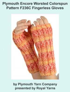 Cover of the book Plymouth Encore Worsted Colorspun Yarn Knitting Pattern F236C Fingerless Gloves by Wendy D. Johnson