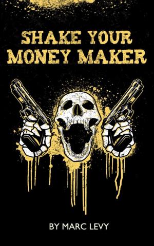 Book cover of Shake Your Money Maker