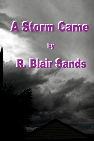 Cover of the book A Storm Came by Kristopher MacGregor