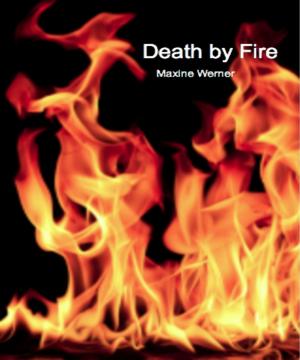 Cover of the book Death by Fire by George Mercer