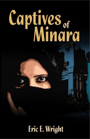 Cover of the book Captives of Minara by Paul Ruditis
