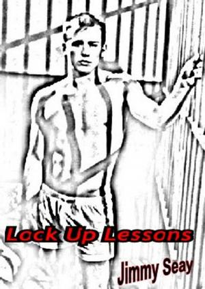 Cover of the book Lock Up Lessons by jimmy billot