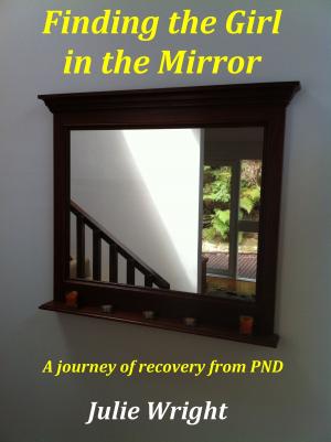 Cover of the book Finding the Girl in the Mirror by Jessica R. Dreistadt