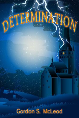 Cover of the book Determination by Segilola Salami
