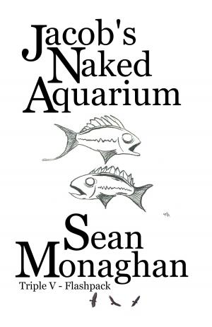 Cover of the book Jacob's Naked Aquarium and other stories by Len Stone