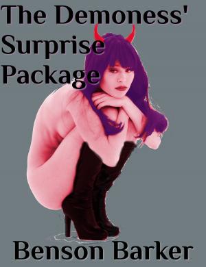 bigCover of the book The Demoness' Surprise Package by 