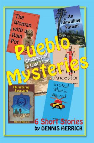 Cover of the book Pueblo Mysteries by J. Matthew Saunders