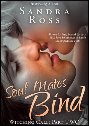 Cover of the book Soul Mates Bind: Witching Call 2 by Eve Hathaway