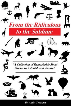 Cover of the book From the Ridiculous to the Sublime by Sigmund Freud