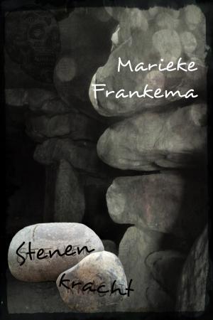 Book cover of Stenenkracht