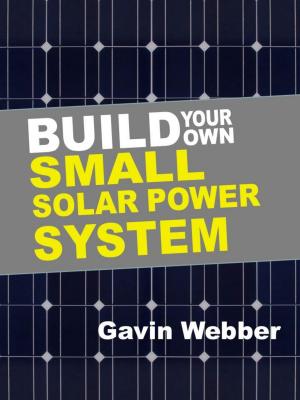 bigCover of the book Build Your Own Small Solar Power System by 