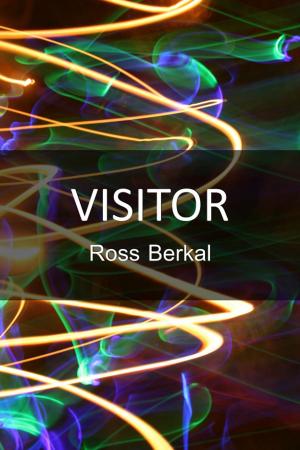 Cover of the book Visitor by Ross Berkal