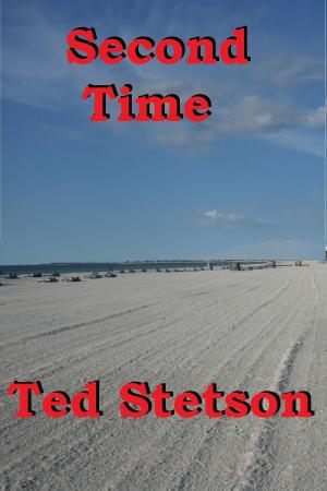 Cover of Second Time