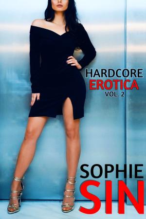Book cover of Hardcore Erotica Vol. 2