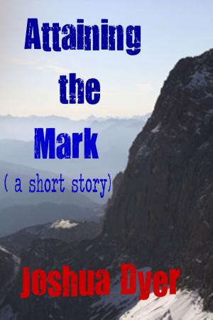 Cover of Attaining The Mark