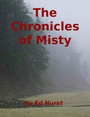 Cover of the book The Chronicles of Misty by Raffaello Pantucci