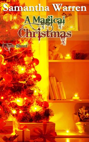 Cover of the book A Magical Christmas (Jane #6.5) by Dana Roquet
