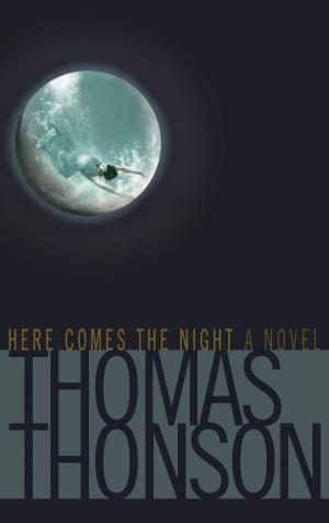 Cover of the book Here Comes The Night by John Brinling