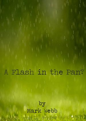 Cover of A Flash in the Pan?