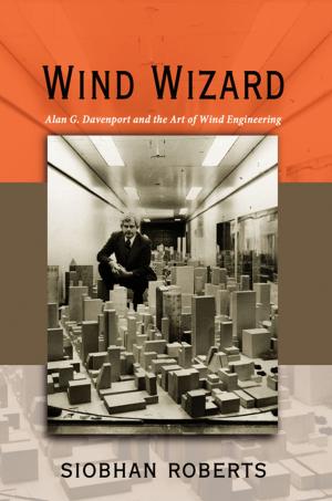 Book cover of Wind Wizard