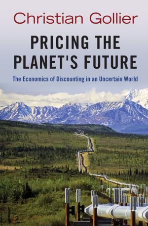 Cover of the book Pricing the Planet's Future by Yacine Aït-Sahalia, Jean Jacod