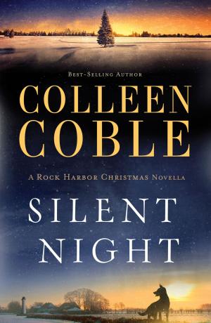 bigCover of the book Silent Night by 