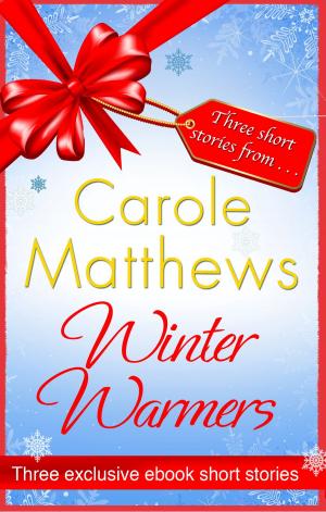 Cover of the book Winter Warmers by Hercules Bantas