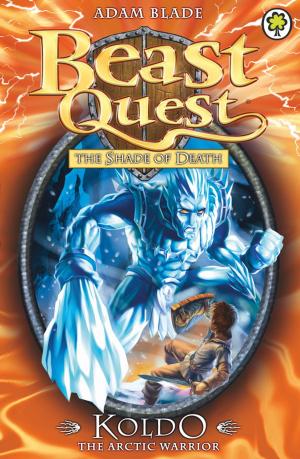 Cover of the book Beast Quest: Koldo the Arctic Warrior by Jan Burchett, Sara Vogler