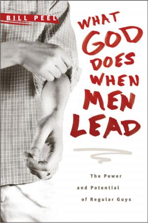 Cover of the book What God Does When Men Lead by Matt Mikalatos
