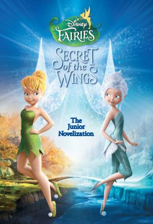 Cover of the book Secret of the Wings Junior Novel by Melinda LaRose, Disney Book Group