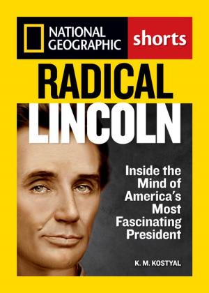 Cover of the book Radical Lincoln by Pam Grout