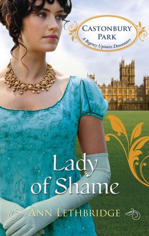 Cover of the book Lady of Shame by Anne marie Winston