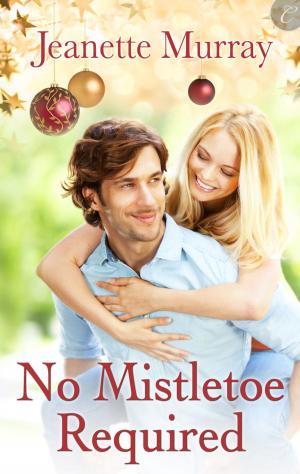 Cover of the book No Mistletoe Required by Julie Rowe