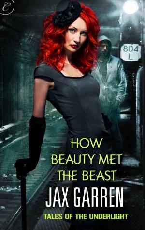 Cover of the book How Beauty Met the Beast by Taylor Lexus Brown, Cherron Riser, Ashley Nicole Davis