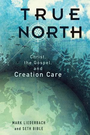 Cover of the book True North by Russell D. Moore, Andrew T. Walker