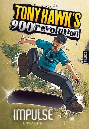 Cover of the book Tony Hawk: Impulse by Kristen McCurry
