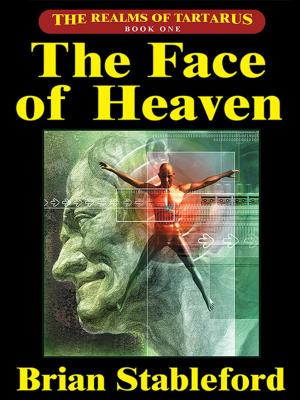 Cover of the book The Face of Heaven by Damien Broderick, Kathryn Ptacek, Mary A. Turzillo, Darrell Schweitzer, A.R. Morlan
