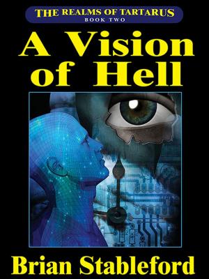Cover of the book A Vision of Hell by Cleveland Moffett