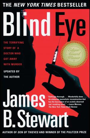 bigCover of the book Blind Eye by 