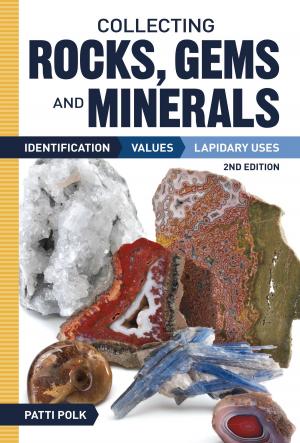 Cover of the book Collecting Rocks, Gems and Minerals by Karen Rose