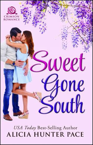 Book cover of Sweet Gone South
