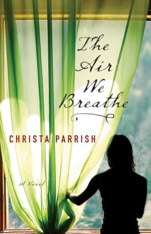 Book cover of The Air We Breathe