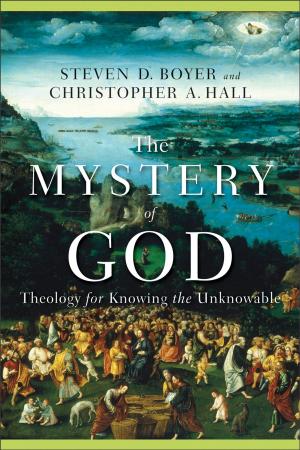 Cover of the book The Mystery of God by Dr. David Stoop