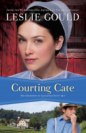 Cover of the book Courting Cate (The Courtships of Lancaster County Book #1) by Susan Anne Mason