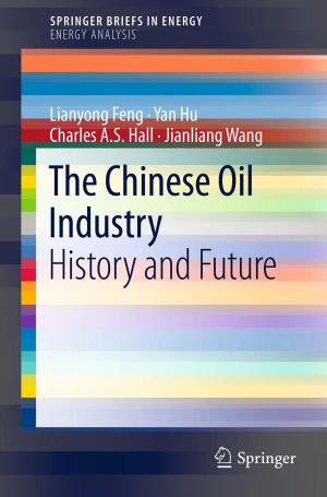 Cover of the book The Chinese Oil Industry by Terje Aven, Uwe Jensen