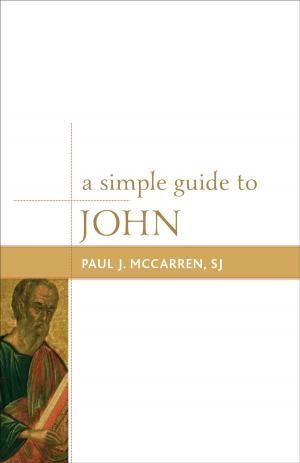 Cover of the book A Simple Guide to John by Daniel B. Reibel, Deborah Rose Van Horn