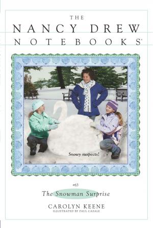 Cover of the book The Snowman Surprise by Lauren Barnholdt