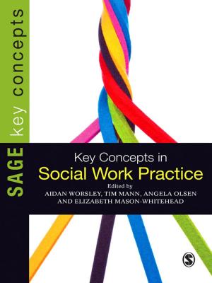 Cover of the book Key Concepts in Social Work Practice by Barry S. Brummett