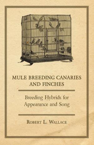 Cover of the book Mule Breeding Canaries and Finches - Breeding Hybrids for Appearance and Song by Ottilie H. Reilly